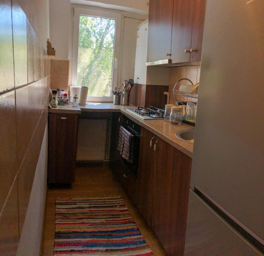 Cozy Apartment Bukovina Suceava Eksteriør billede